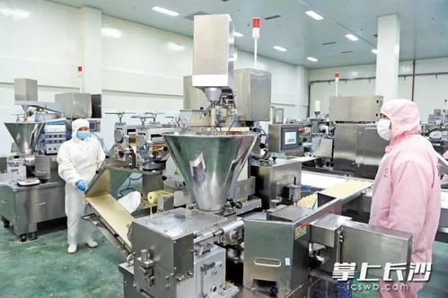 寧鄉項目建設按下快進鍵跑出加速度 食品加工產業乘勢而上