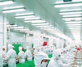 上海食品加盟與加工 繁榮背后的黃金產業鏈